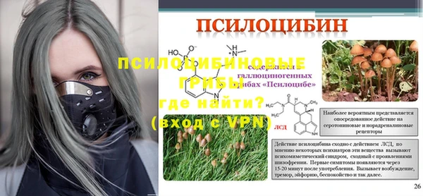 spice Абаза