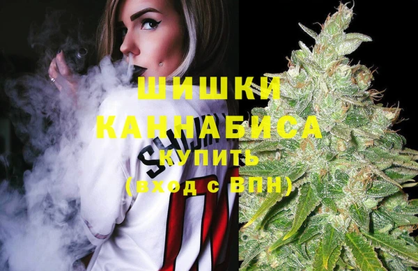 spice Абаза