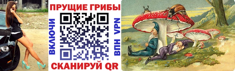 Галлюциногенные грибы Magic Shrooms  сколько стоит  Устюжна 